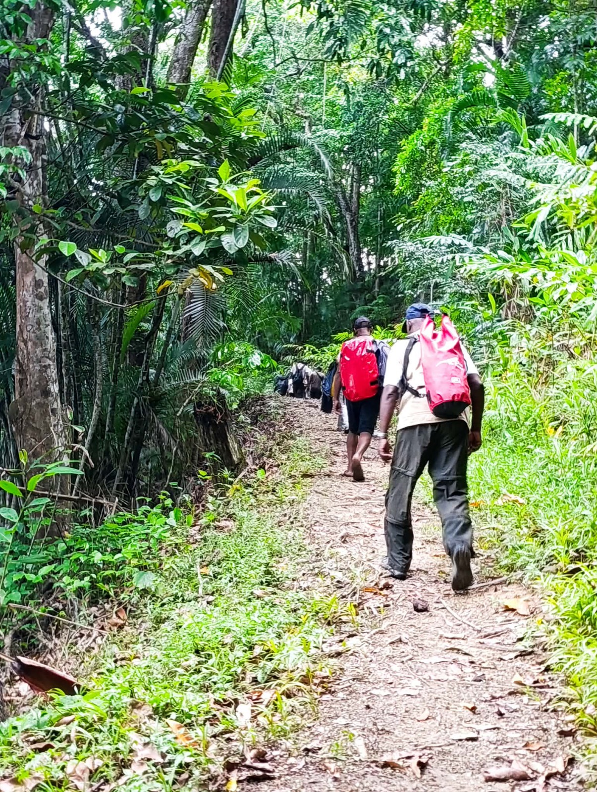 Randonnée en forêt tropicale, Masoala