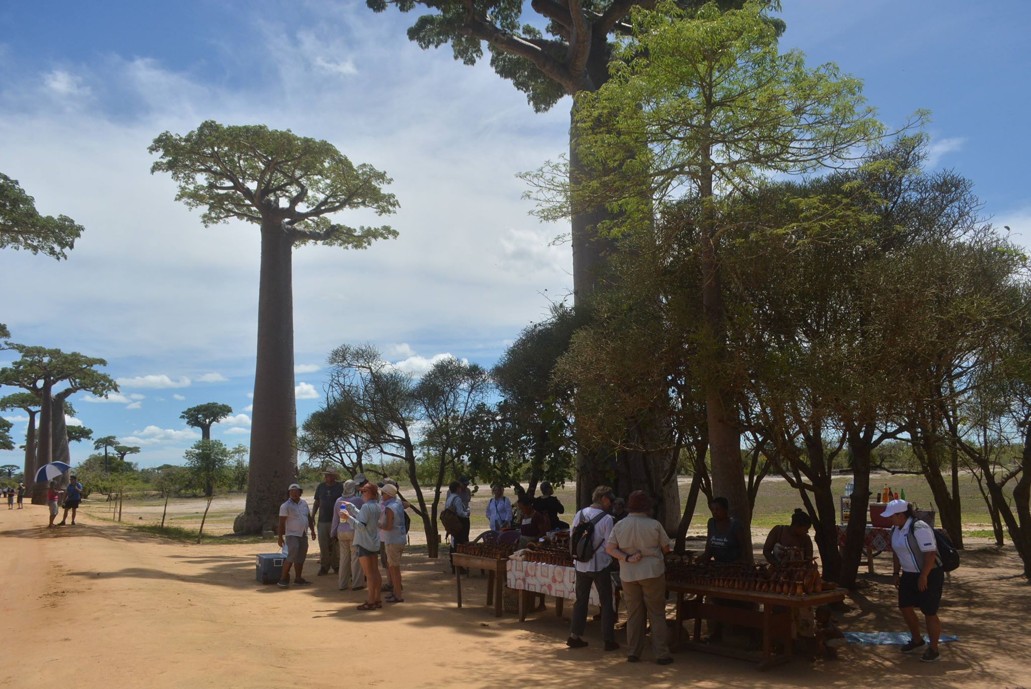 Morondava