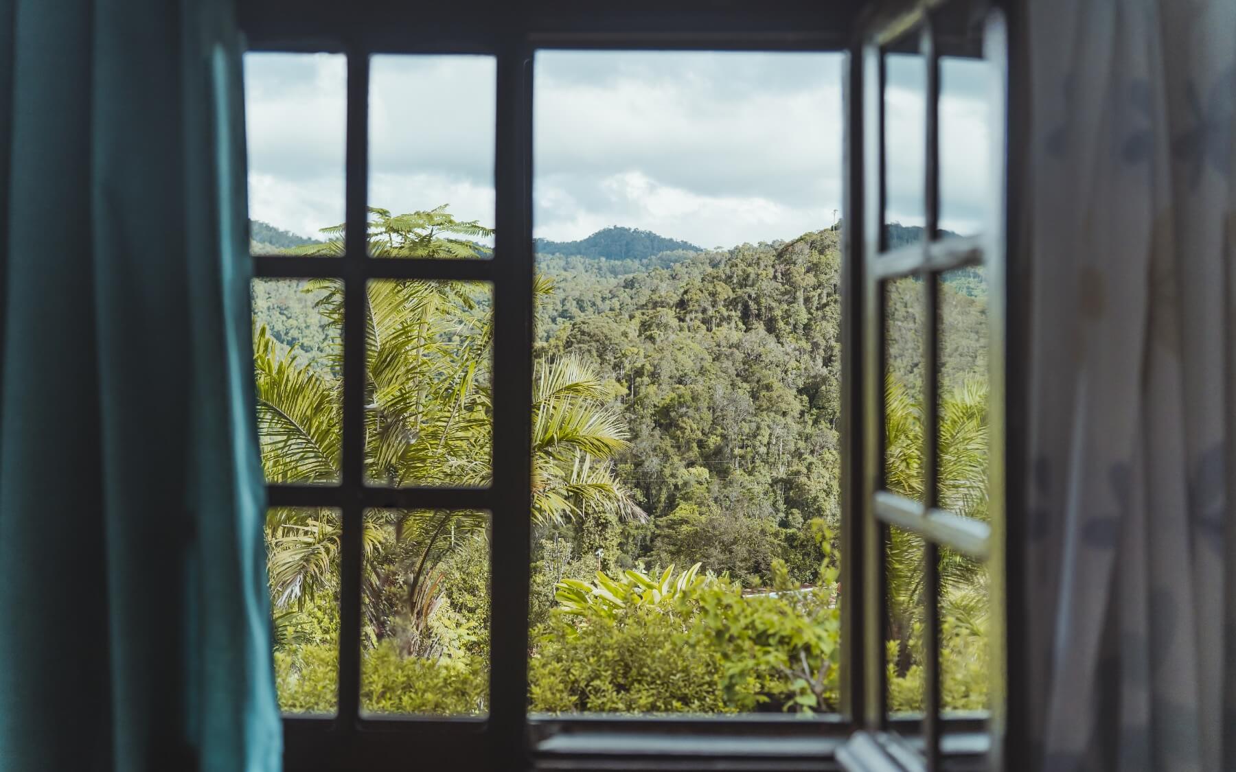 Parc National de Ranomafana — forêt tropicale