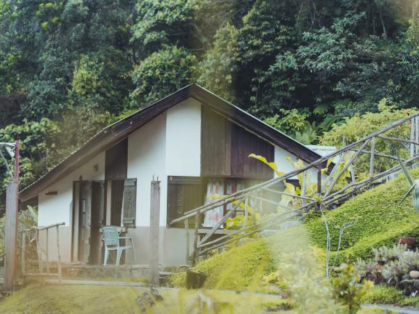 Bungalow Standard